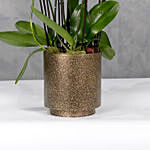 12 Flowerstcks In Terrazzo Gold Cylinder Vase