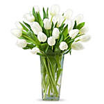 20 White Tulips KT