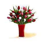 30 Red White Pink Tulips In A Glass