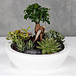 Bonsai Garden White Vase