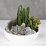 Succulent Garden White Planter