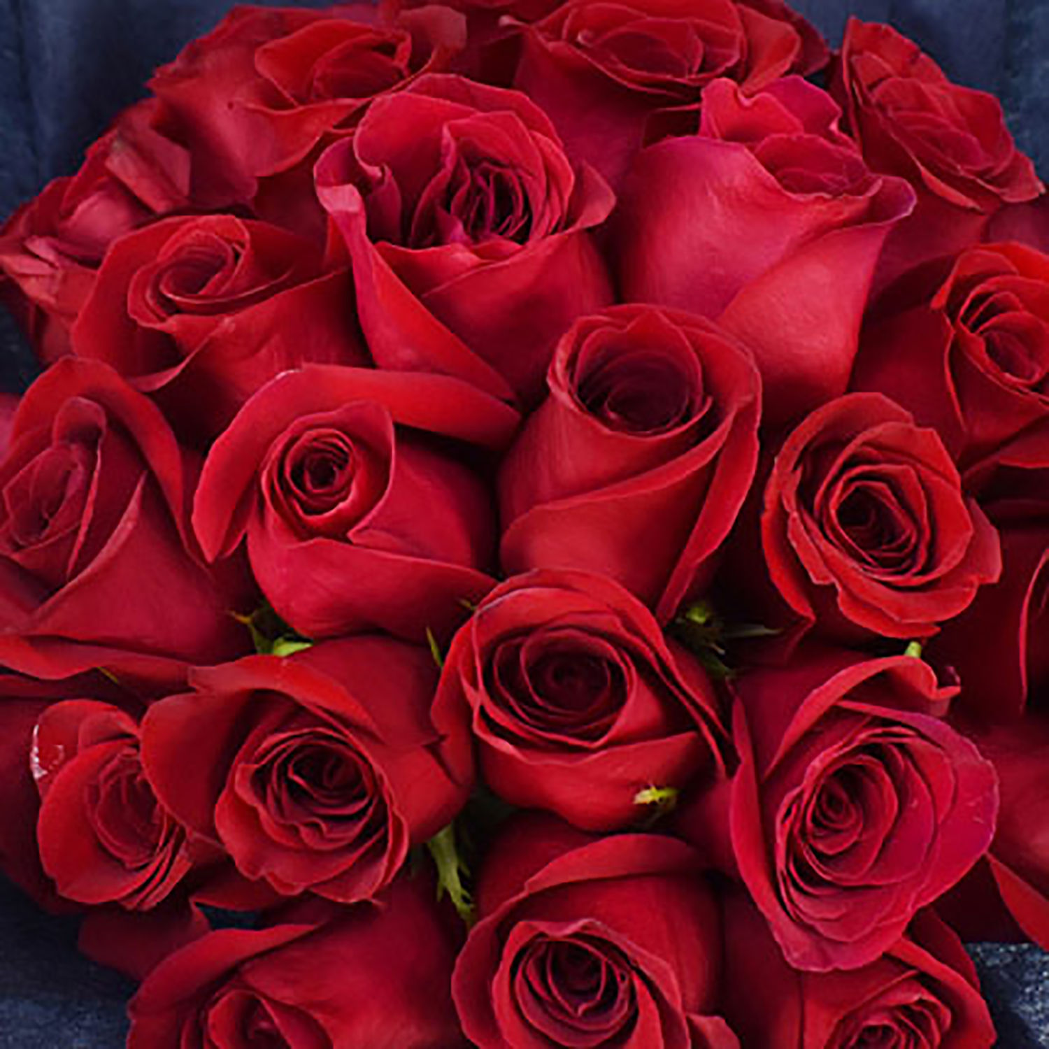 35 Red Roses 35 Red Roses Bouquet Delivery in Singapore - FNP SG
