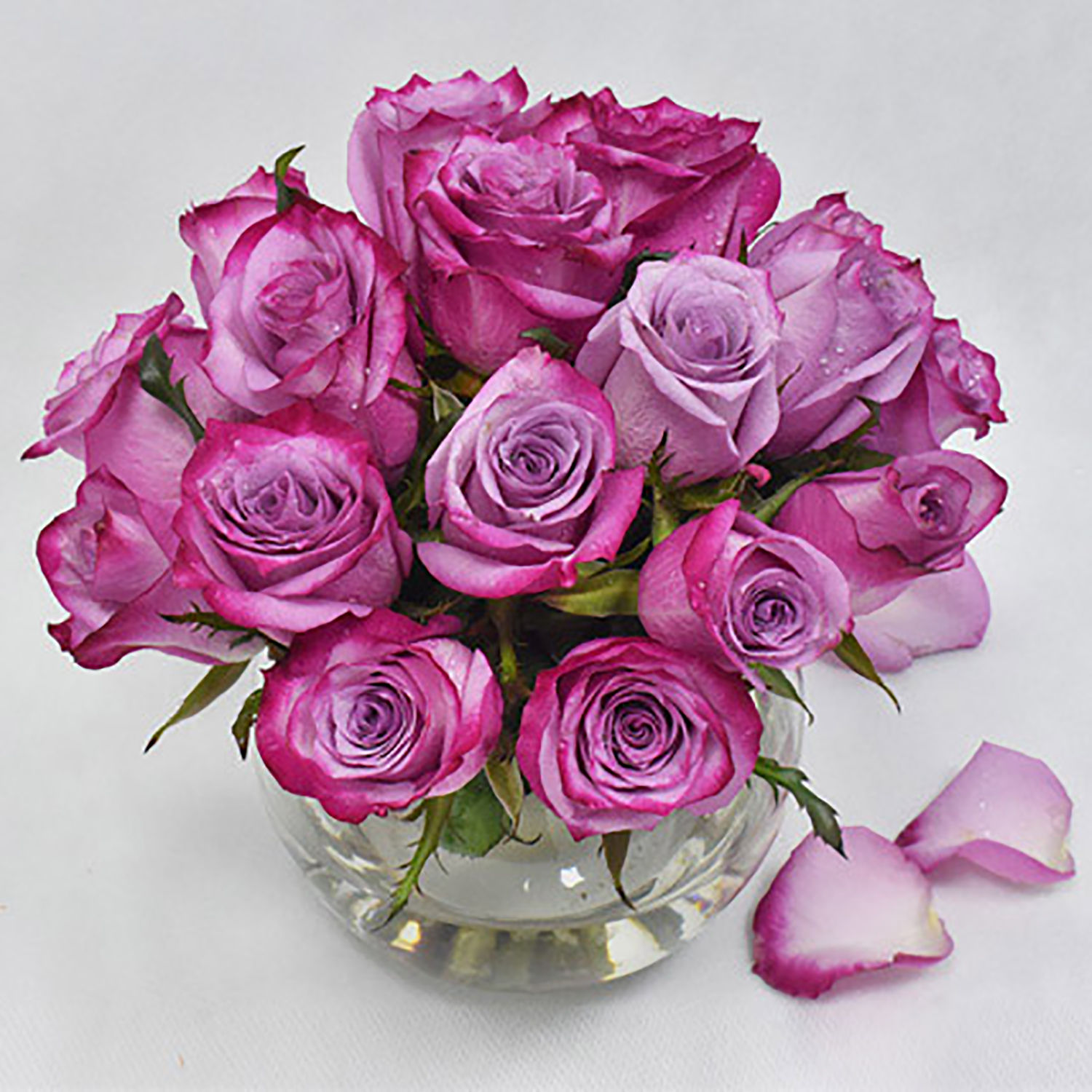 Purple Roses In Glass Bowl Delivery in Singapore - FNP SG