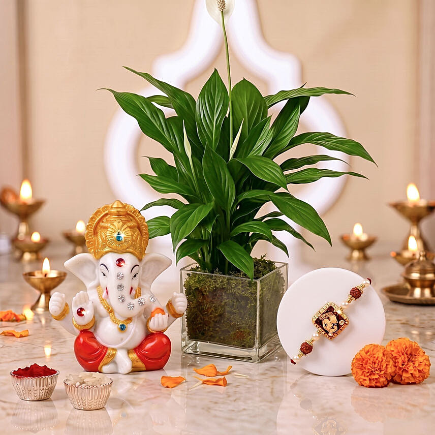 Ganesha Idol with Devotional Ganesha Rakhi and Peace Lily Plant Gift Set