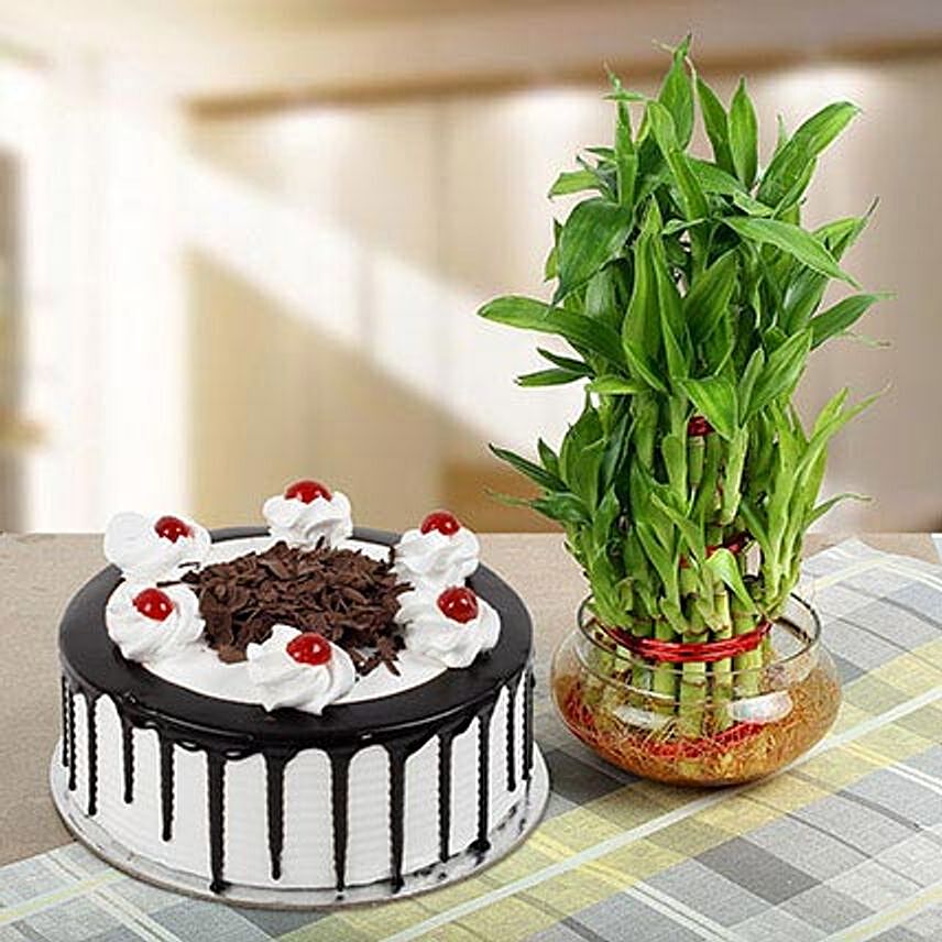 3 Layer Bamboo With Black Forest Cake
