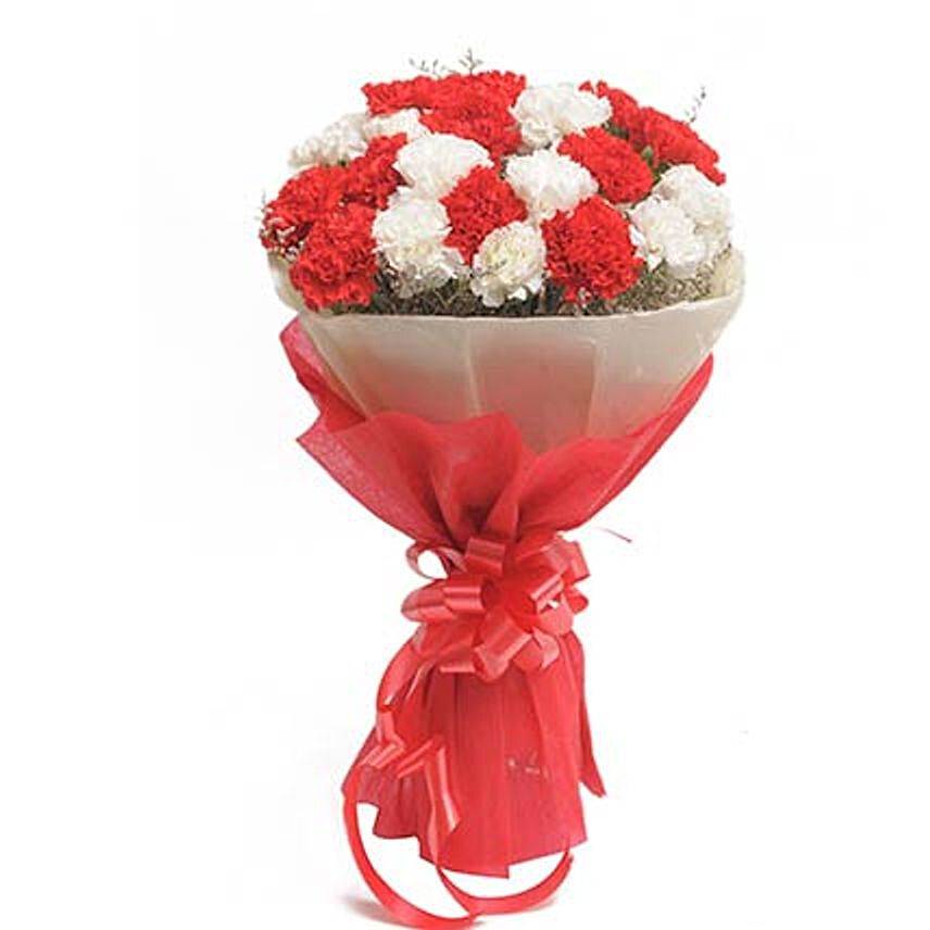 Red And White Carnations
