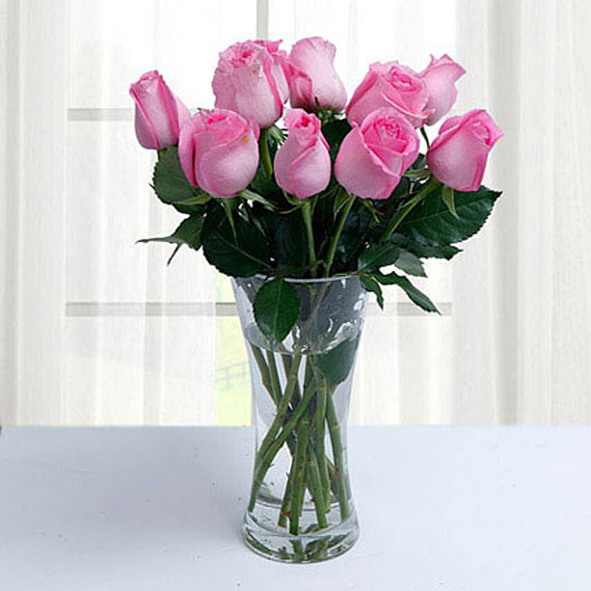12 Pink Roses Beauty