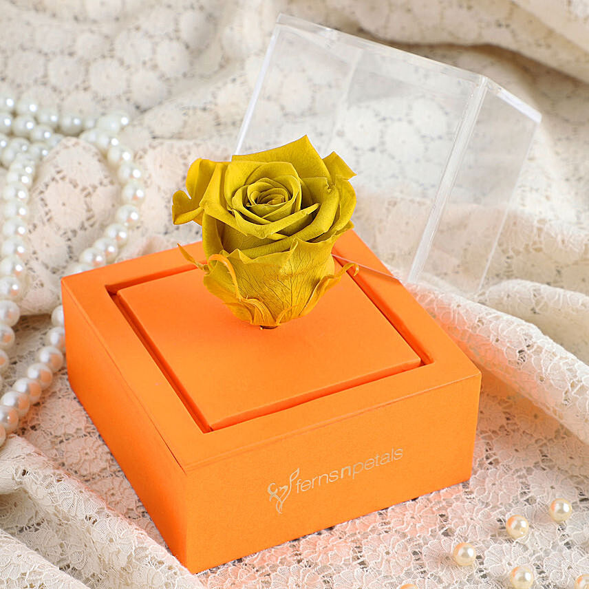 Olive Forever Rose In Orange Box