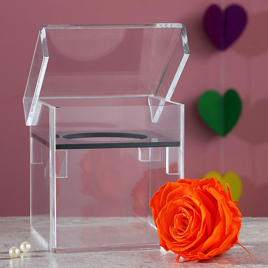 Orange Forever Rose Enclosed In Acrylic Box