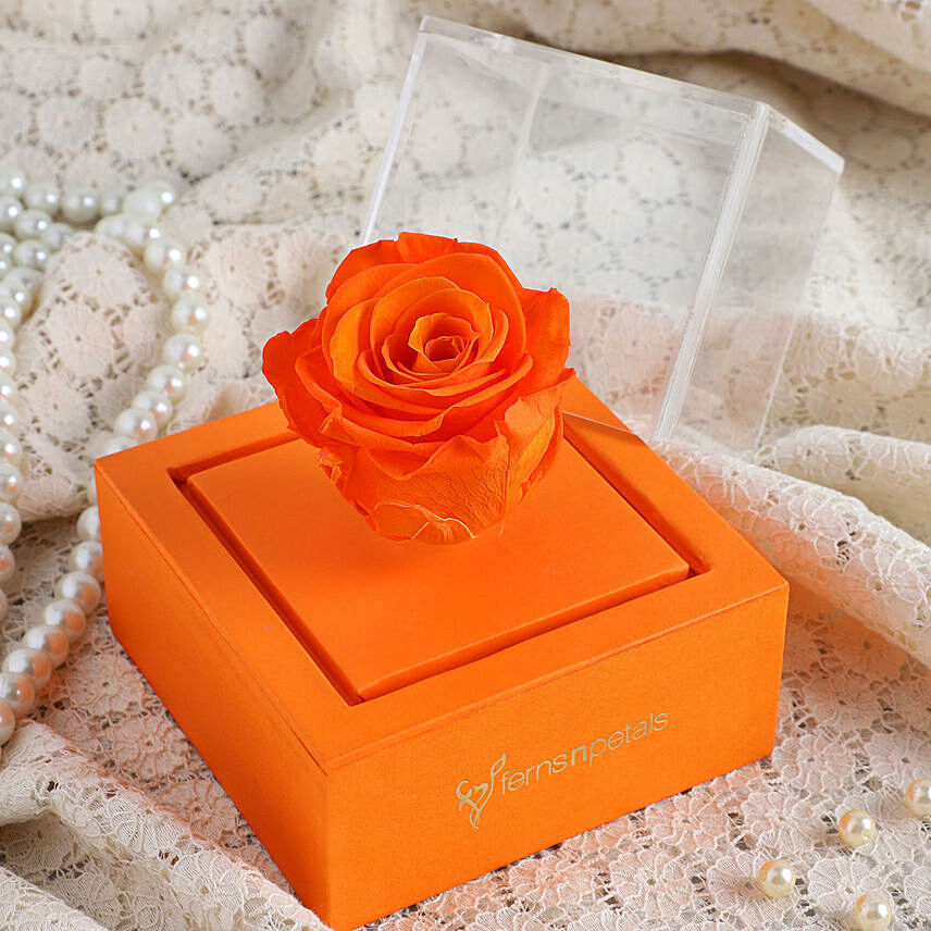 Orange Forever Rose In Orange Box