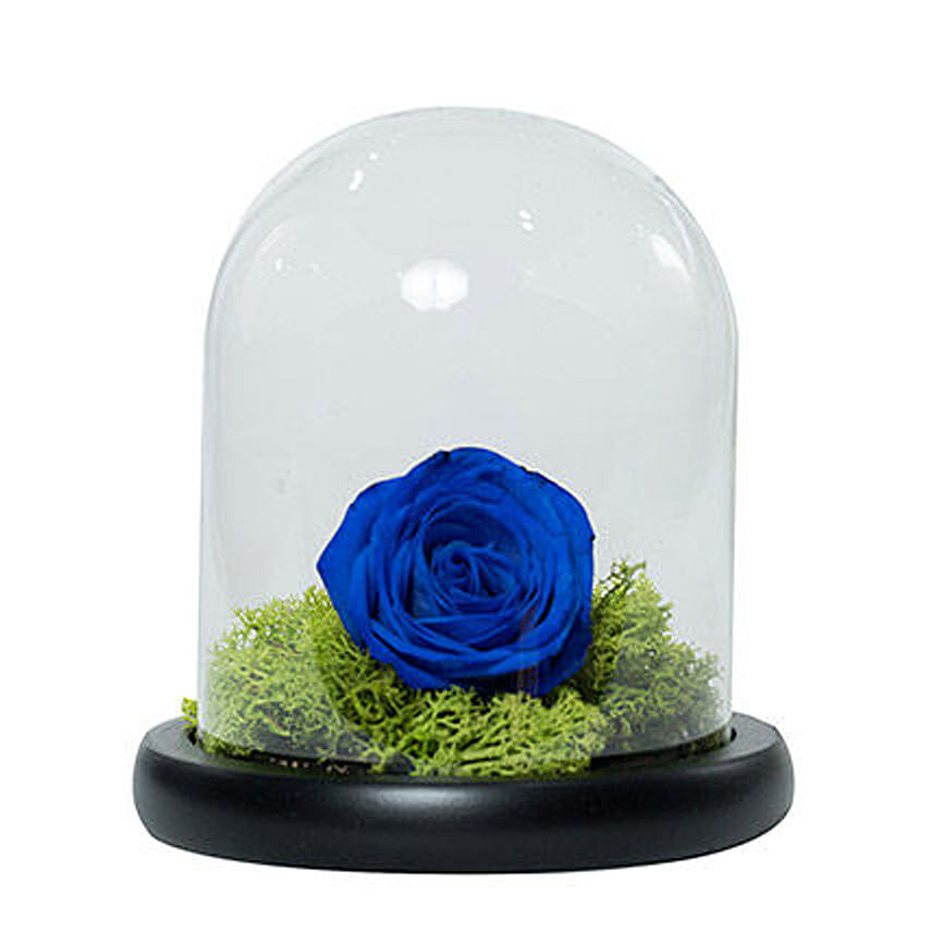 Forever Rose In Glass Dome- Blue