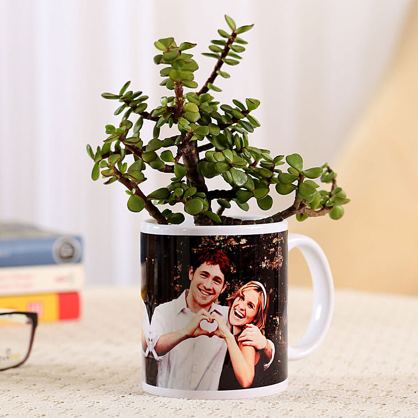 Jade Plant In Personalised White Mug