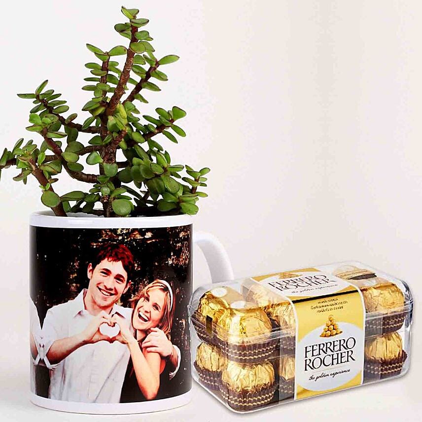 Jade Plant In White Personalised Mug With Ferrero Rocher