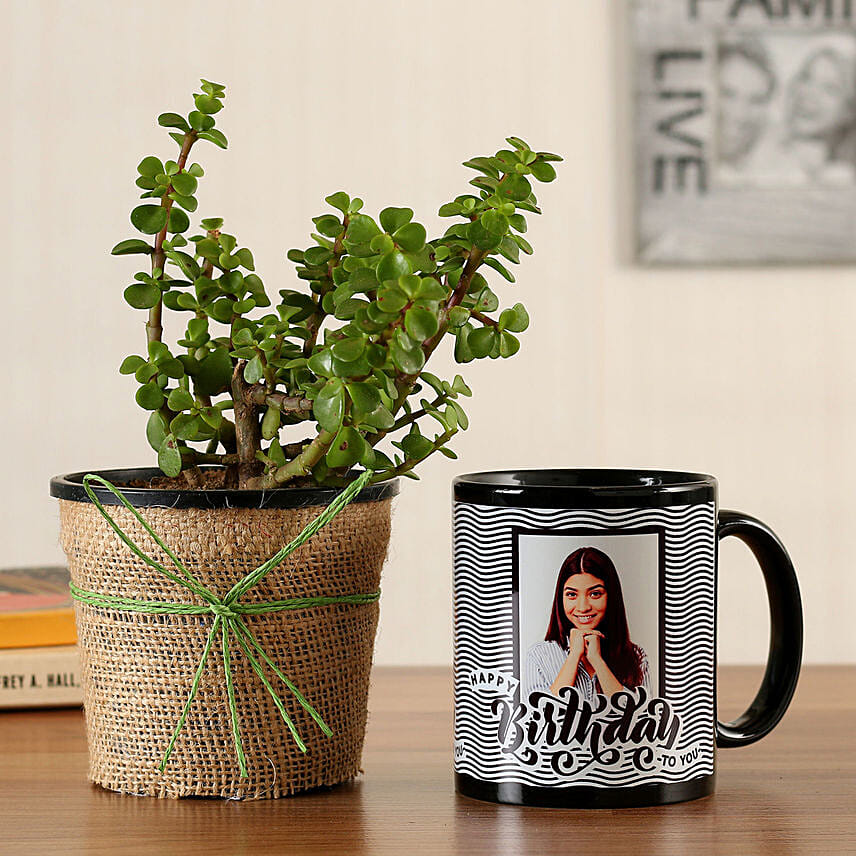 Jade Plant with Personalised Black Bday Mug