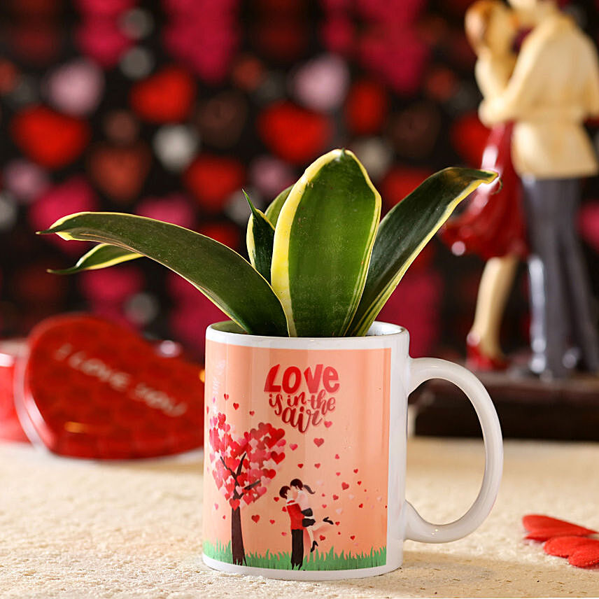 Sansevieria Plant In Love Is In Air Mug