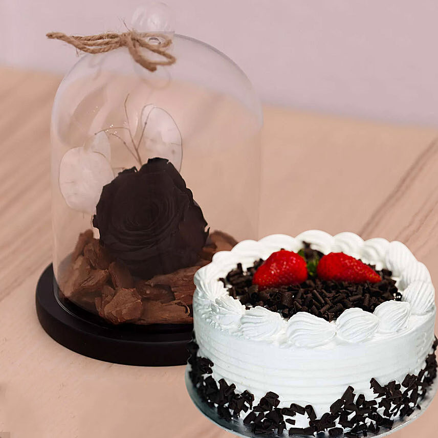 Black Forest Cake & Black Forever Rose In Glass Dome