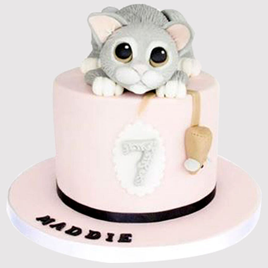 Cute Cake Truffle Cake