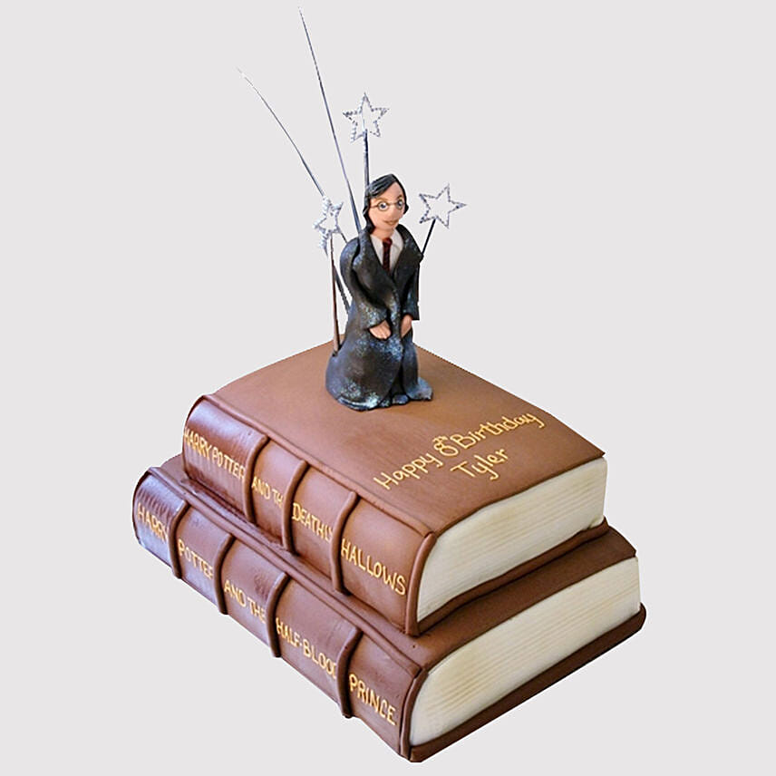 Harry Potter Wizard Books Truffle Cake