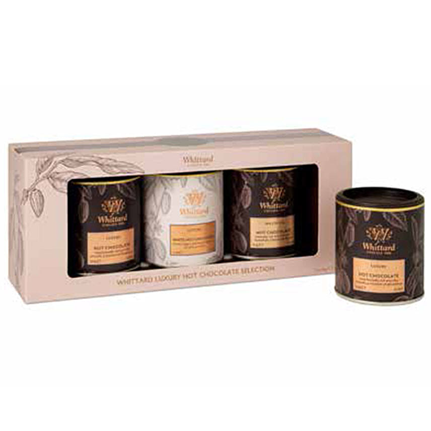 Luxury Hot Chocolate Selection Delivery in Singapore FNP SG