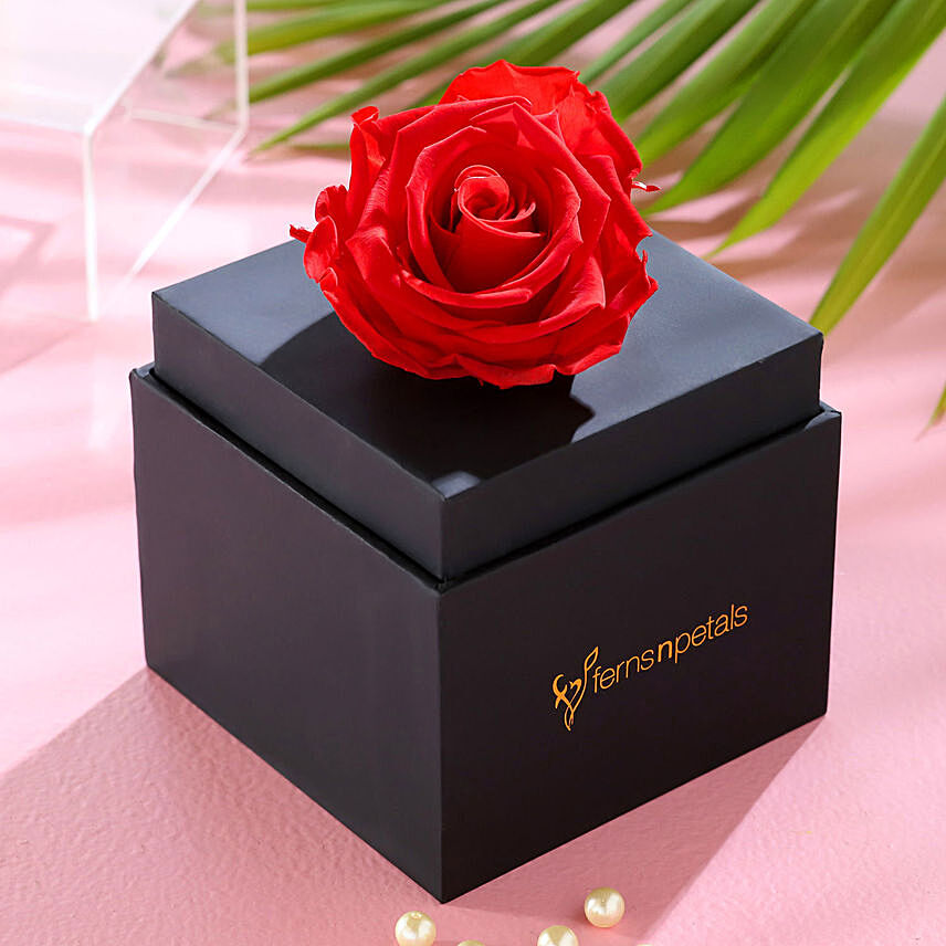 Beautiful Single Forever Red Rose With Black Box for Valentines