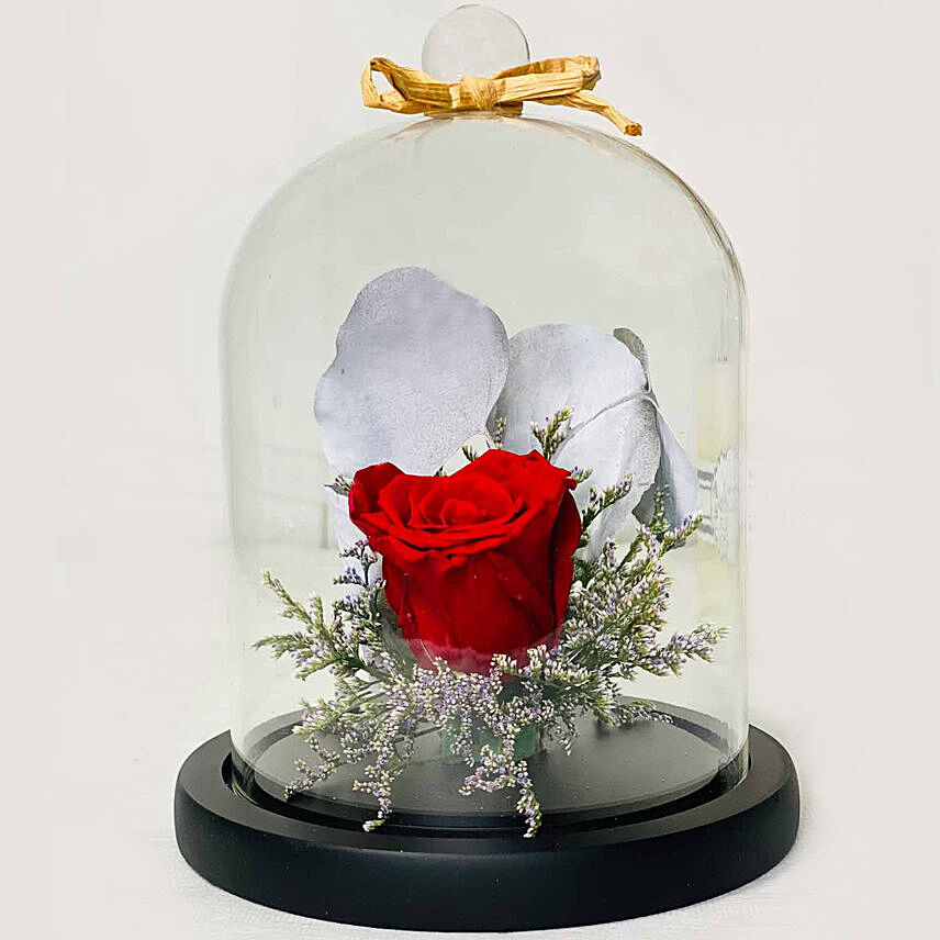 Single Beautifull Red Forever Rose In Glass Dome for Valentines
