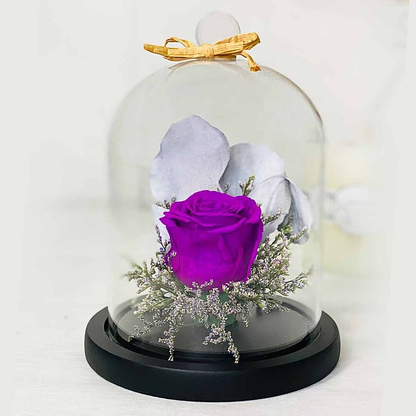 Beautiful Forever Purple Rose In Glass Dome Purple