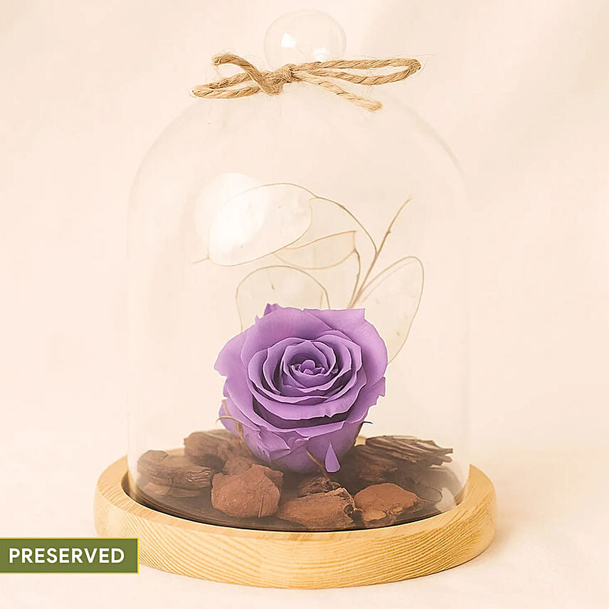 Forever Roses | Preserved Flowers Singapore - FNP SG