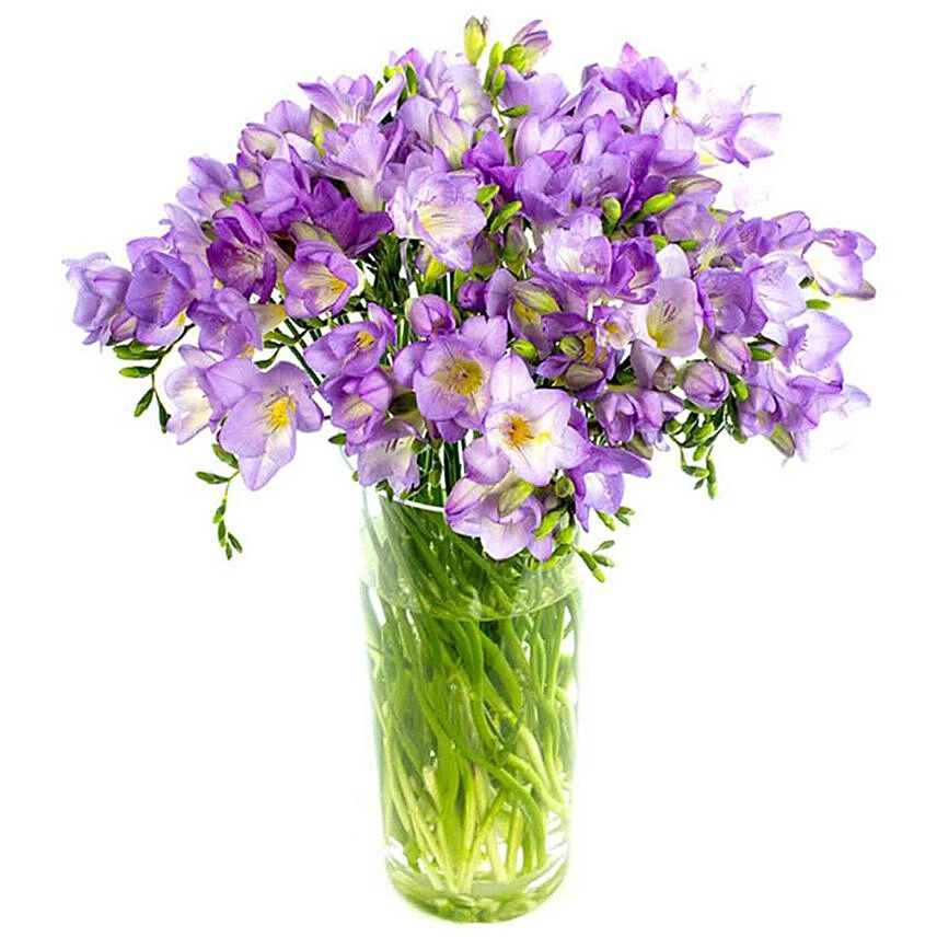 Darling Purple Freesias Vase