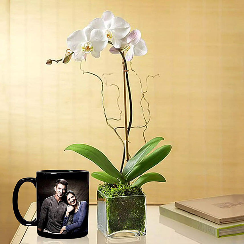 Personalised Couple Mug With White Orchid Plant