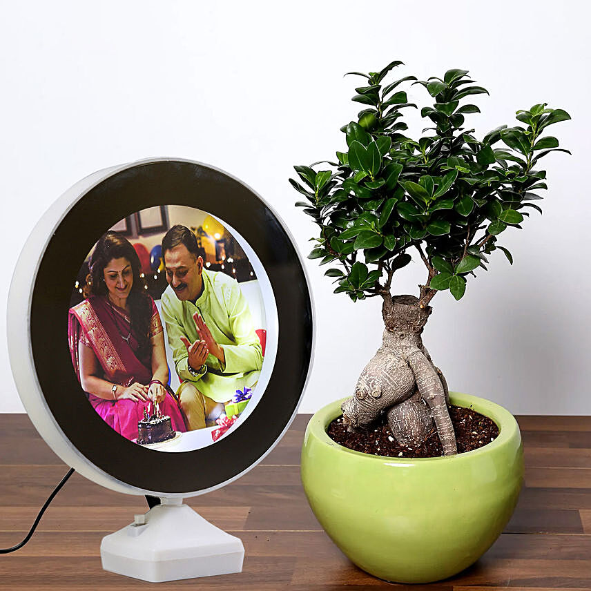 Personalised Magic Led Mirror With Bonsai Plant
