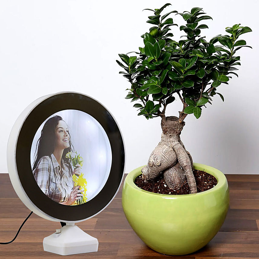 Bonsai Plant With Personalised Magic Led Mirror