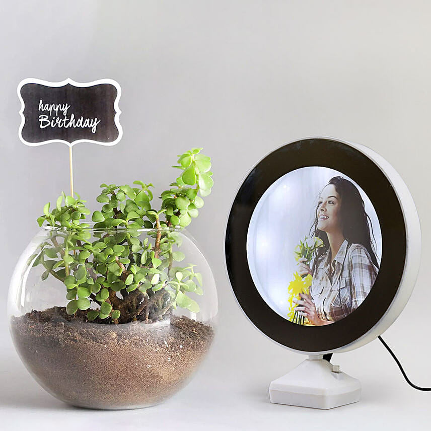 Jade Plant With Personalised Magic Led Mirror