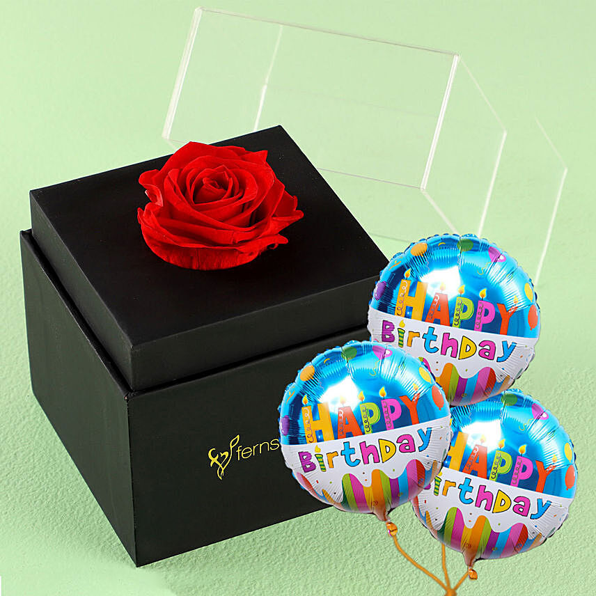Red Rose In Black Box With Birthday Balloon