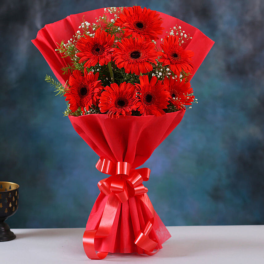 8 Red Elegance Gerbera Blossoms