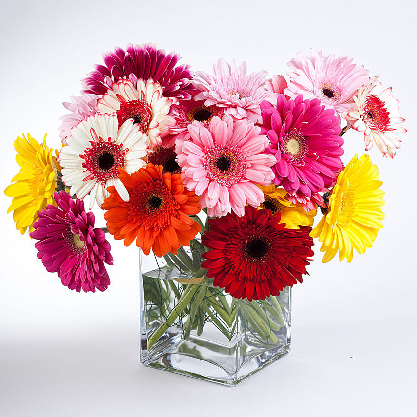 Mixed Elegant Gerberas In Glass Vase