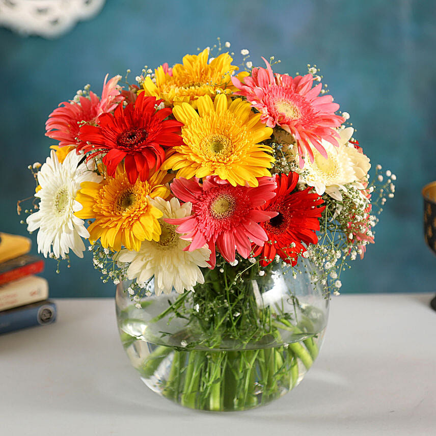 4 Classy Mix Of Gerbera Blossoms