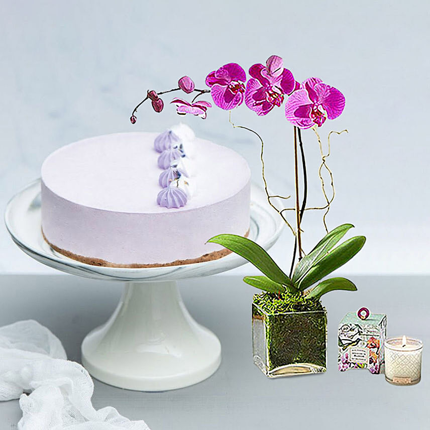 Lavender Cream Cake With Purple Orchid Plant