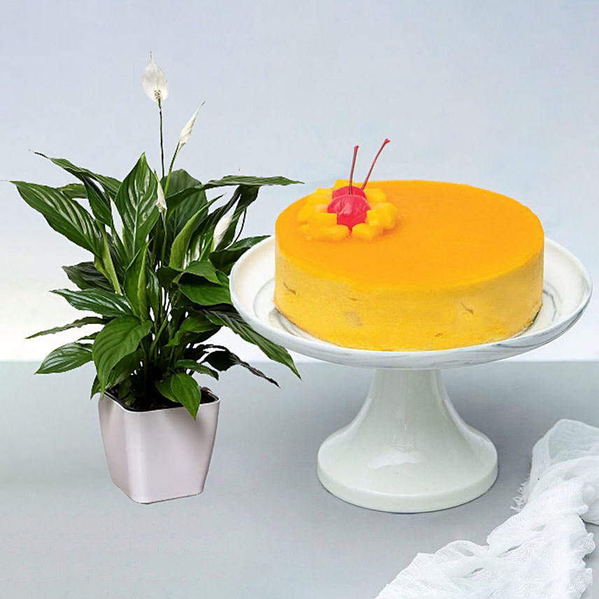Mango Mousse Cake With Amazing Lily Plant