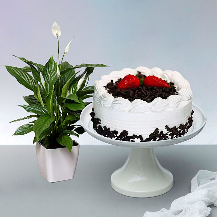 Black Forest Cake With Lily Plant