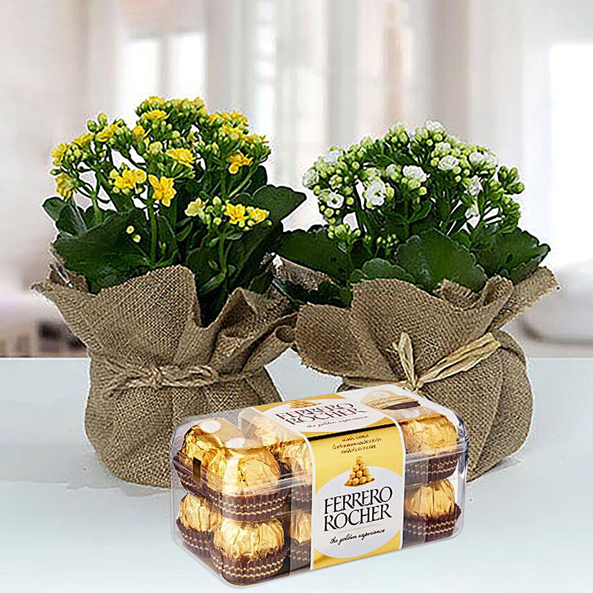 Jute Wrapped Plants with Ferrero Rocher