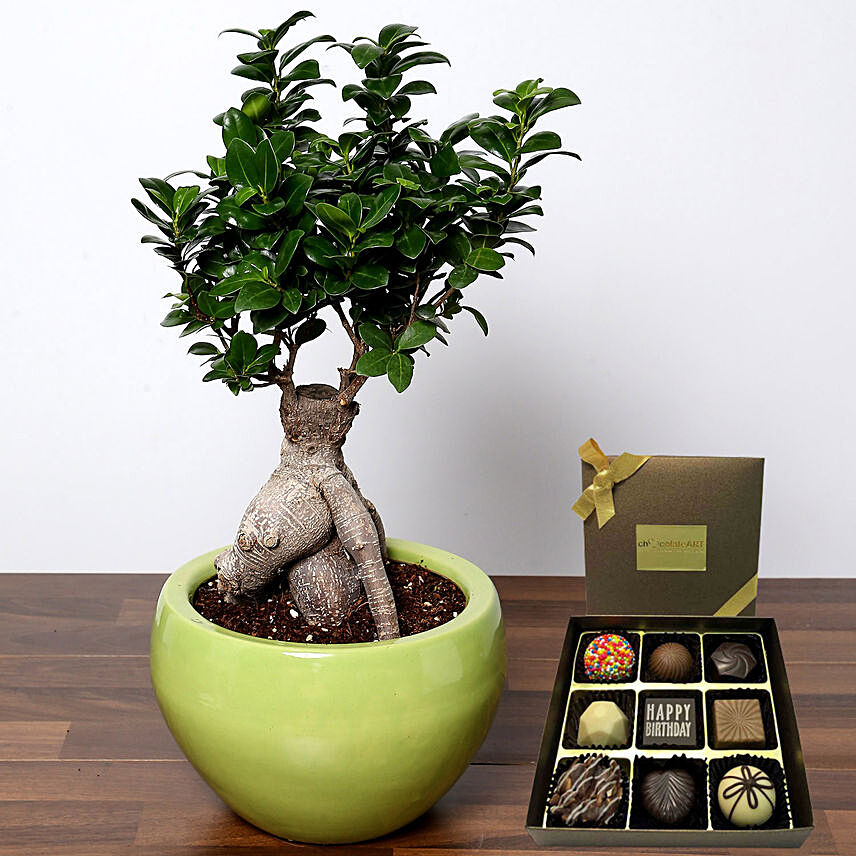 Bonsai Plant with Happy Birthday Chocolate