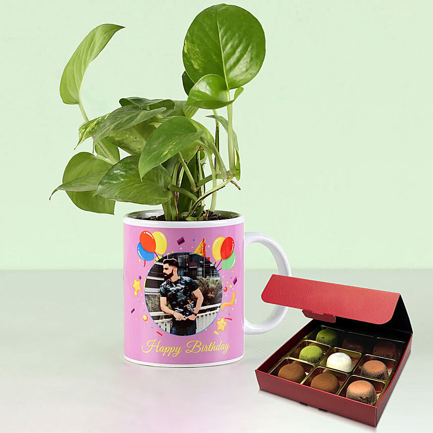 Personalised Mug Money Plant with No Sugar Chocolate