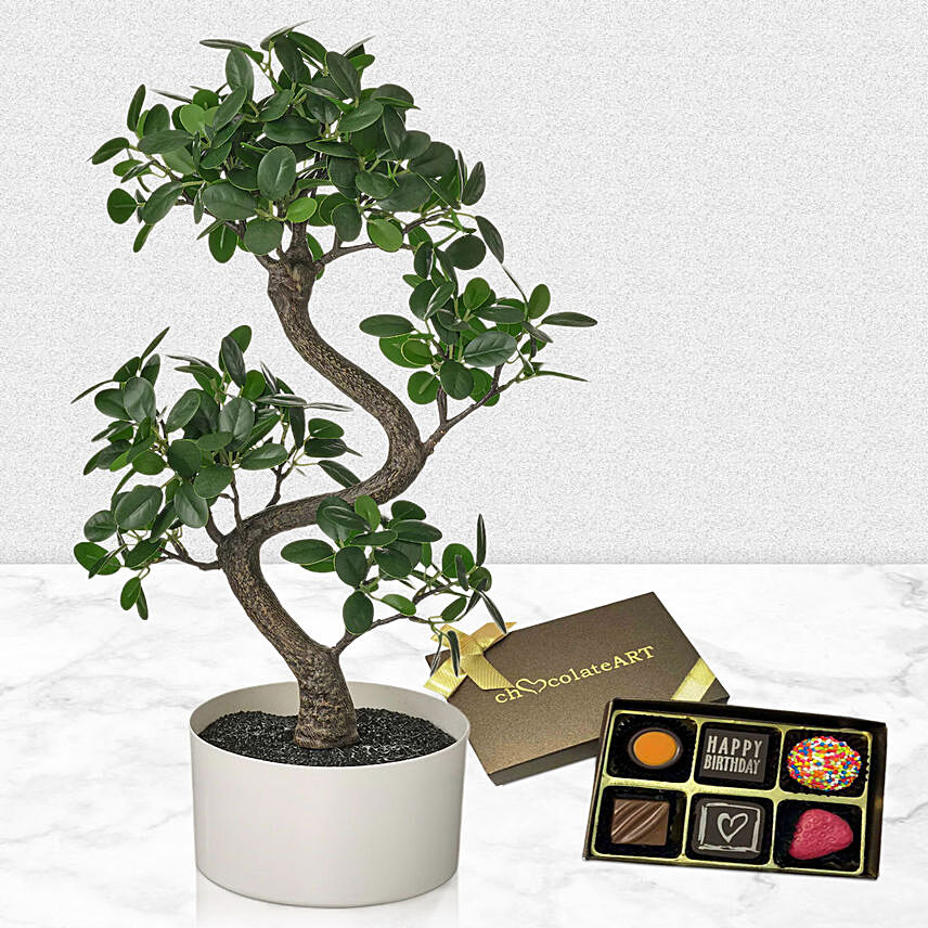 Beautiful Bonsai Plant with Artistic Birthday Chocolate