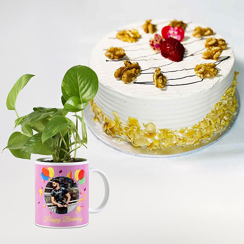 Coffee Cake with Personalised Mug Money Plant