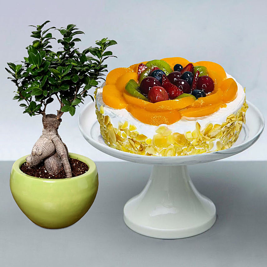 Fruit Cake with Bonsai Plant
