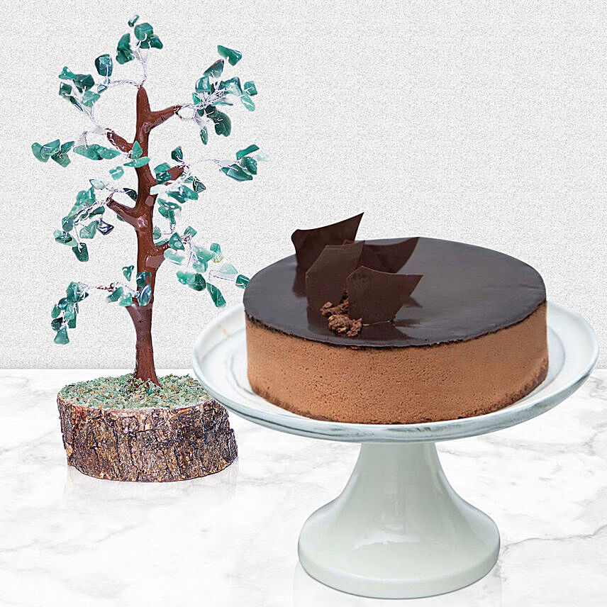 Green Wish Tree with Crunchy Chocolate Cake