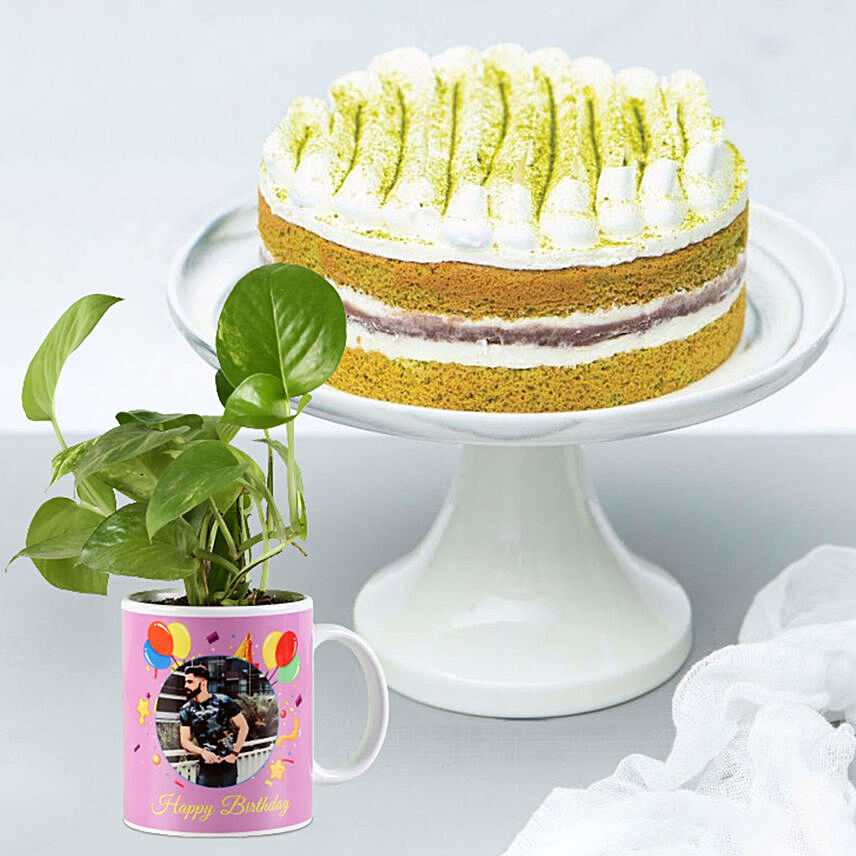 Matcha Cake with Personalised Mug Money Plant