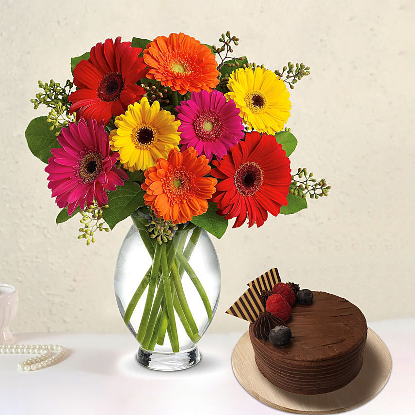 Heavenly Multicoloured Gerberas With Chocolate Cake