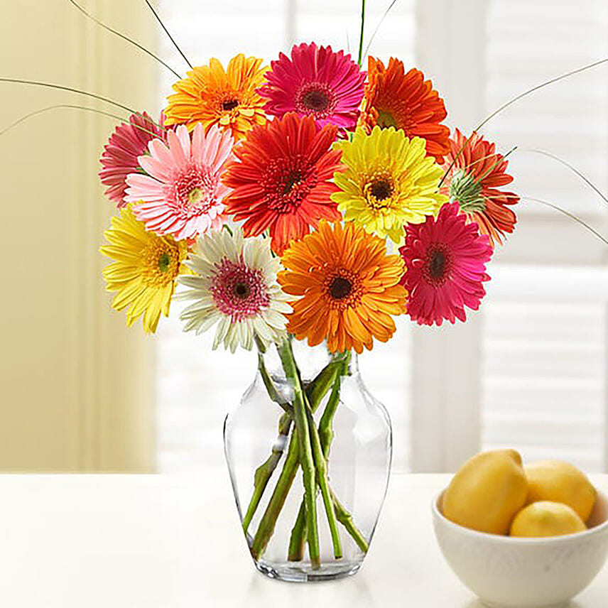 Blooming 12 Mixed Gerberas Vase