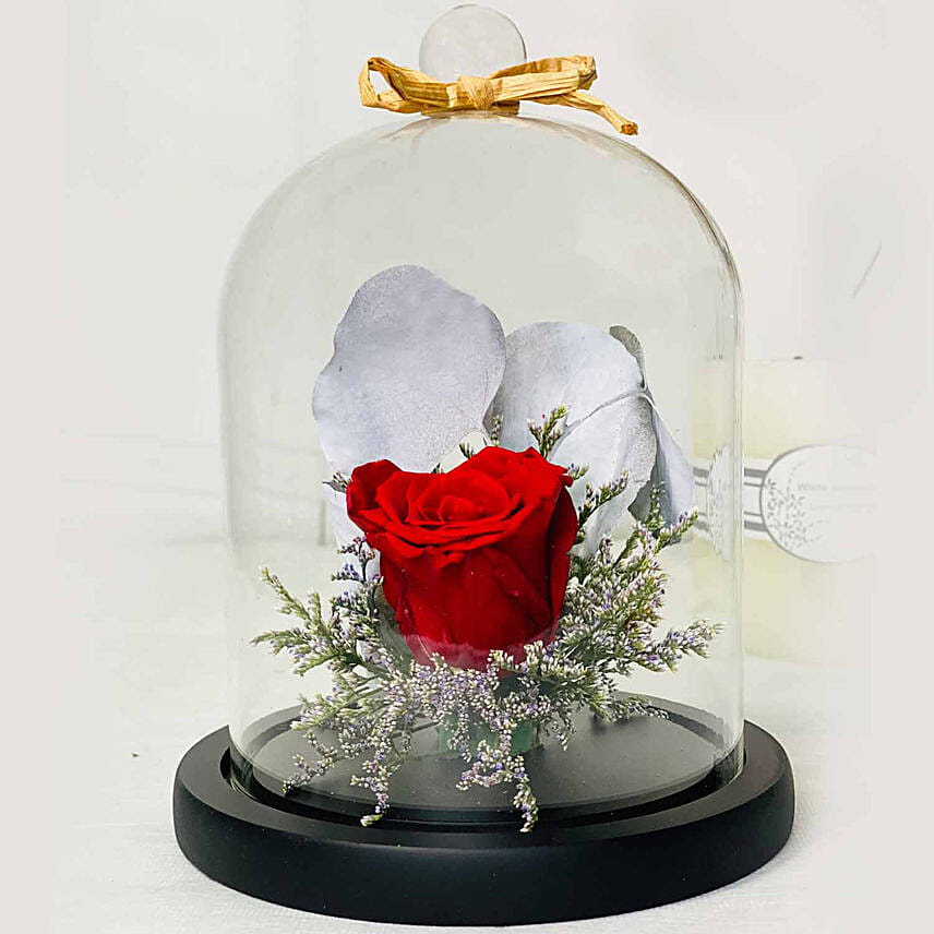 Beautiful Red Forever Rose In Glass Dome